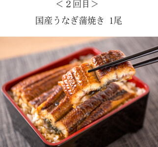 定期便 サバ 鮭 サケ 鰻 うなぎ 海鮮丼 おかず/【全4回】困った時の1品