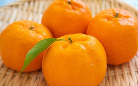 和歌山産ポンカン約5kg(サイズ混合・秀優品) ※2026年2月上旬~2026年3月上旬頃に順次発送予定【tec942A】