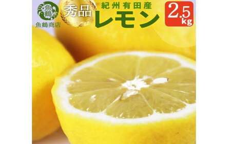 秀品　紀州有田産レモン　2.5kg【予約】※2026年3月上旬頃〜2026年3月中旬頃に順次発送予定(お届け日指定不可) レモン れもん 果物 柑橘【uot776】
