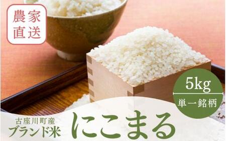秘境の地からお届けする あゆみファームのお米 にこまる 5kg【2025年10月下旬以降順次発送】/ 米 お米 にこまる 5kg 精米 和歌山【aym013】
