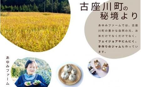 秘境の地からお届けする あゆみファームのお米 にこまる 5kg【2025年10月下旬以降順次発送】/ 米 お米 にこまる 5kg 精米 和歌山【aym013】