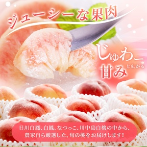 桃 和歌山県産 秀品 3玉 食べきり容量【kgr002】