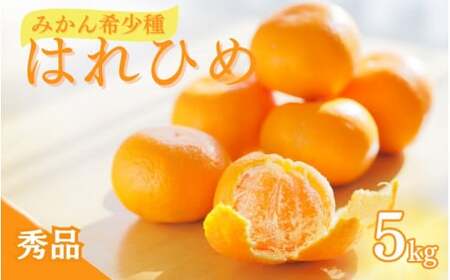 【先行予約】希少種みかん はれひめ 約5kg(25個～30個) 秀品 2026年12月中旬～2027年2月初旬頃に順次発送予定（お届け日指定不可）/ 和歌山 みかん はれひめ フルーツ 柑橘 蜜柑 果物 くだもの【kgr004A】
