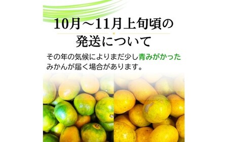 有田みかん 約5kg＋150g(傷み補償分) みかん【nuk160-11C】