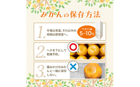 有田みかん 約5kg＋150g(傷み補償分) みかん【nuk160-11C】