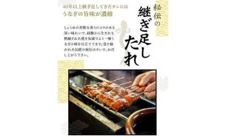 【3回定期便】贅沢定期便A まぐろ うなぎ 和牛【tkb386】