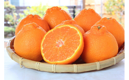 【ご家庭用訳あり】紀州有田産不知火(しらぬひ) 約3kg 【予約】※2026年2月中旬頃〜2026年3月中旬頃に順次発送予定(お届け日指定不可)【uot830A】