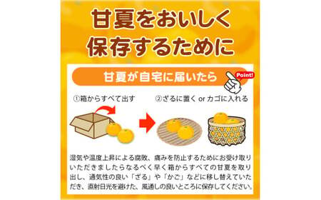 【ご家庭用訳あり】紀州有田産 すっきり爽やか 甘夏みかん 8kg  ※2026年3月上旬頃〜2026年3月下旬頃に順次発送予定 / 甘夏 あまなつ みかん ミカン 蜜柑 温州みかん 柑橘 フルーツ 果物 くだもの 和歌山【uot847】