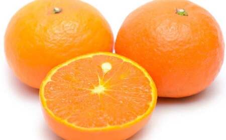 【春みかん】和歌山有田産カラマンダリン約5kg(サイズおまかせ)※2026年4月上旬～2026年5月中旬頃に順次発送【tecj1022】