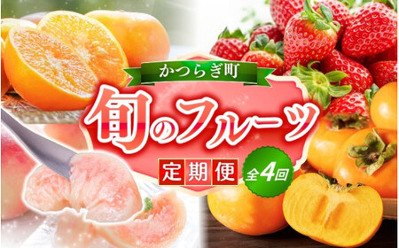 【定期便4回】フルーツ王国かつらぎ町よりお届け！旬のフルーツ定期便【kgr025】