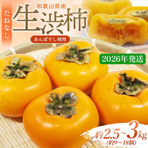 【県認定エコファーマー】甘さが違う！とっても甘くなる生渋柿（平たねなし柿）あんぽ柿用 T軸枝無 約2.5〜3kg 約9〜18個 １０月下旬〜順次発送(日付指定不可)-AP【art041】