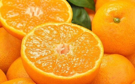 【予約受付】田村みかん 秀品5キロ/サイズおまかせ◆2025年11月下旬~2026年1月中旬頃に順次発送(お届け日指定不可) 紀伊国屋文左衛門本舗【kztb301B】