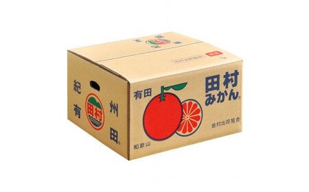 【予約受付】田村みかん 秀品5キロ/サイズおまかせ◆2025年11月下旬~2026年1月中旬頃に順次発送(お届け日指定不可) 紀伊国屋文左衛門本舗【kztb301B】
