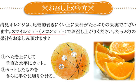 清見オレンジ約8kg / 果実サイズおまかせ ※2026年2月中旬～2026年4月下旬頃発送予定　紀伊国屋文左衛門本舗【kztb401C】