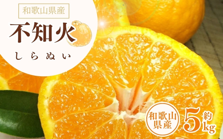 デコ不知火（デコポンと同品種） 約5kg/サイズおまかせ　※2026年2月上旬～2026年4月上旬頃に順次発送予定(お届け日指定不可) / 不知火 しらぬい デコポン デコ不知火 果物 フルーツ 柑橘 蜜柑 【kztb420A】
