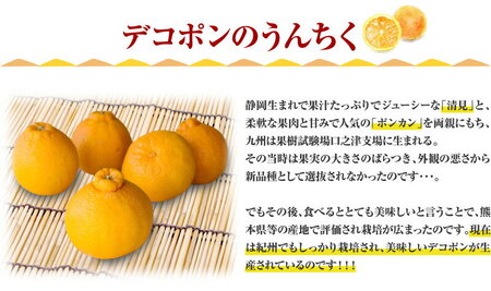 デコ不知火(デコポンと同品種) 約2.8kg サイズおまかせ ※2026年2月上旬～2026年4月上旬頃に順次発送予定(お届け日指定不可) / 不知火 しらぬい デコポン デコ不知火 果物 フルーツ 柑橘 蜜柑 【kztb421C】
