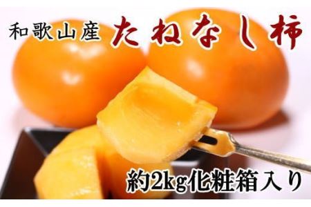 【秋の味覚】和歌山産のたねなし柿2L～4Lサイズ約2kg（化粧箱入り）※2024年10月上旬～11月上旬頃発送予定【tec408】