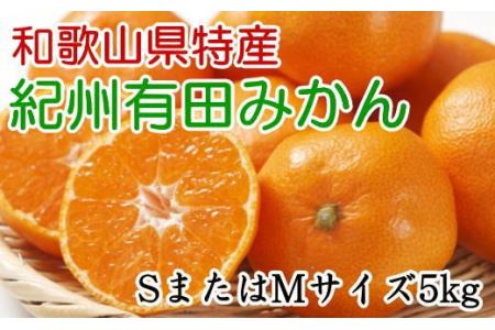 [秀品]和歌山有田みかん　5kg(SサイズまたはMサイズのいずれか)   先行予約 ※2024年11月中旬～1月中旬頃順次発送予定（お届け日指定不可）【tec833】