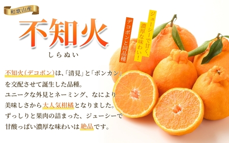 【濃厚】有田の不知火約5kg(12玉~20玉おまかせ) ※2026年2月中旬~2026年4月中旬頃に順次発送予定(日付指定不可)【tec861A】