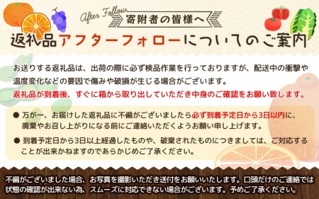 【産直・秀品】和歌山下津みかん　9kg(2Lサイズ) ※2025年11月中旬～2026年1月中旬頃に順次発送(お届け日指定不可)【tec869A】
