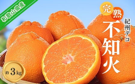 果肉プリプリ♪　完熟紀州デコ(不知火) 約3kg ＜2026年2月下旬頃〜2026年3月中旬頃発送＞ / 不知火 しらぬい デコポン みかん 柑橘 フルーツ 果物 和歌山県産 古座川町【uot706A】