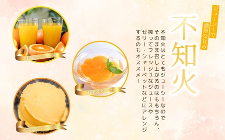 果肉プリプリ♪　完熟紀州デコ(不知火) 約3kg ＜2026年2月下旬頃〜2026年3月中旬頃発送＞ / 不知火 しらぬい デコポン みかん 柑橘 フルーツ 果物 和歌山県産 古座川町【uot706A】