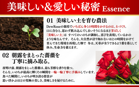 DewRose ＆SALT 40g/ 薔薇 香り 塩 調味料 健康 天然素材 天然成分【agr102】