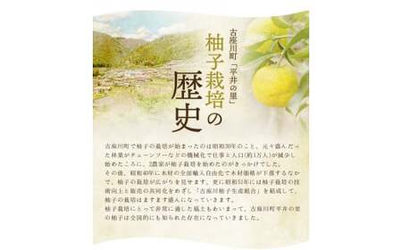 古座川町のゆずドリンク ストレートドリンク柚香ちゃん（30本入り） ゆず 柚子 ジュース セット ユズ ドリンク【yuz106B】