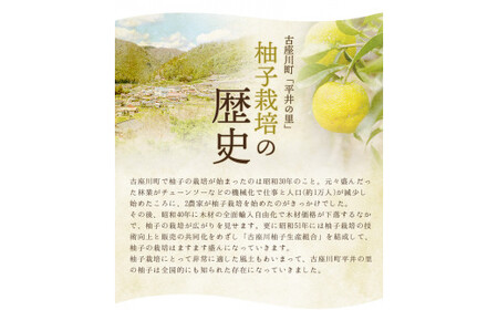 古座川町のゆずドリンク（はちみつ入り） はちみつ柚香ちゃん 160ml（30本入） ゆず 柚子 柚 ユズ ジュース ドリンク はちみつ【yuz112B】