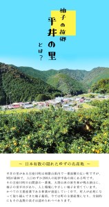 古座川町の 柚子シャーベット 8個入 ゆず 柚子 柚 ユズ フルーツ スイーツ アイスクリーム ジェラート【yuz116A】