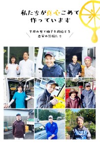 古座川町の 柚子シャーベット 8個入 ゆず 柚子 柚 ユズ フルーツ スイーツ アイスクリーム ジェラート【yuz116A】