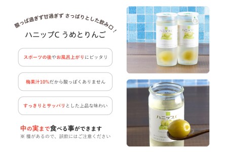 果実入り清涼飲料水　ハニップＣ 2種類セット（30本） 【prm001】