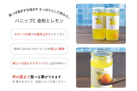 果実入り清涼飲料水　ハニップＣ 2種類セット（30本） 【prm001】