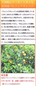 秀品　希少な国産バレンシアオレンジ　2.5kg　※2024年6月下旬頃～2024年7月上旬頃に順次発送予定（お届け日指定不可）【uot752】