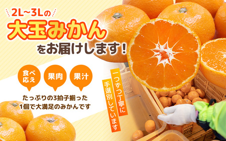 【手選別】 有田みかん 5kg 2L～３L 大玉みかん 【hdm001-1A】