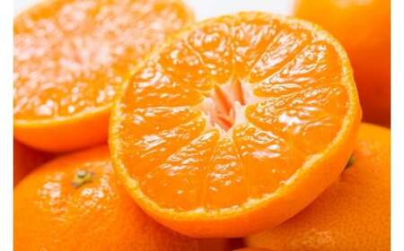 田村みかん 特選ギフト品 10kg【Sサイズ】赤秀/紀州和歌山有田郡湯浅町田村地区産 ◆2025年11月下旬～2026年1月中旬頃に順次発送(お届け日指定不可)　紀伊国屋文左衛門本舗【kztb304B】