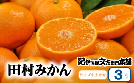 【予約受付】田村みかん 特選ギフト品 3kg サイズおまかせ 赤秀/紀州和歌山有田郡湯浅町田村地区産 ◆2022年11月下旬~2023年1月中旬頃に発送(お届け日指定不可) 紀伊国屋文左衛門本舗【kztb308】