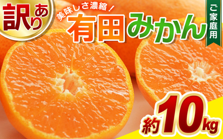 訳あり 有田みかん 約10kg 【ご家庭用】 和歌山県 温州みかん 先行予約【2024年11月中旬より発送予定（お届け日指定不可）】【nuk138B】