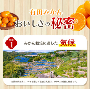 【訳あり】農家直送 有田みかん 約10kg ご家庭用 サイズ混合 ※2025年11月中旬より順次発送予定（お届け日指定不可）※北海道・沖縄・離島への配送不可　訳ありみかん 温州みかん サイズ混合 訳ありみかん 温州みかん 有機質肥料100% ふるさと納税 柑橘 有田 産地直送【nuk138H】