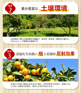 【訳あり】農家直送 有田みかん 約10kg ご家庭用 サイズ混合 ※2025年11月中旬より順次発送予定（お届け日指定不可）※北海道・沖縄・離島への配送不可　訳ありみかん 温州みかん サイズ混合 訳ありみかん 温州みかん 有機質肥料100% ふるさと納税 柑橘 有田 産地直送【nuk138H】