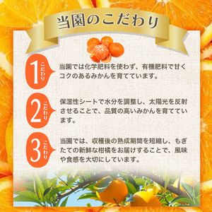 【訳あり】農家直送 有田みかん 約10kg ご家庭用 サイズ混合 ※2025年11月中旬より順次発送予定（お届け日指定不可）※北海道・沖縄・離島への配送不可　訳ありみかん 温州みかん サイズ混合 訳ありみかん 温州みかん 有機質肥料100% ふるさと納税 柑橘 有田 産地直送【nuk138H】