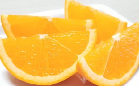 和歌山県有田産バレンシアオレンジ約5kg（サイズおまかせ）※2024年6月下旬～2024年7月上旬ごろ順次発送予定（お届け日指定不可）【tec926】