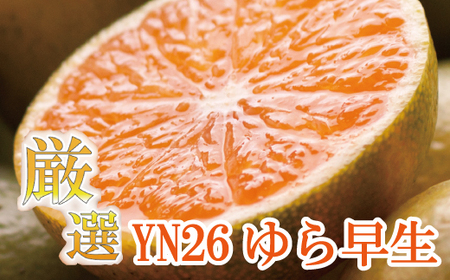 厳選　極早生有田みかん7.5kg+225g（傷み補償分）【YN26・ゆら早生】＜9月中旬より順次発送予定＞【ikd016-2】