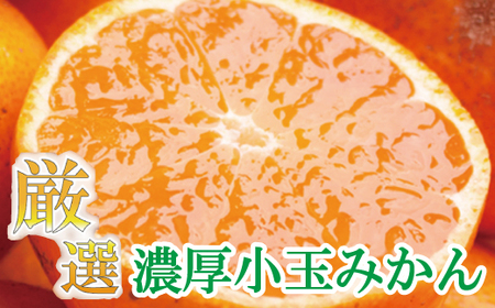 厳選　小玉な有田みかん5.5kg+165g（傷み補償分）【光センサー選果】＜11月上旬より順次発送予定＞【ikd117】