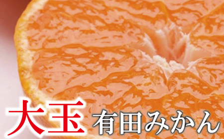 家庭用　大きな有田みかん10kg+300g（傷み補償分）【わけあり・訳あり】【光センサー選果】＜11月上旬より順次発送予定＞【ikd120】