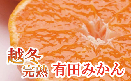 家庭用　越冬完熟みかん3.5kg+105g（傷み補償分）【ハウスみかん】【わけあり・訳あり】【光センサー選果】＜1月中旬より順次発送予定＞【ikd122】