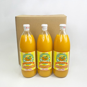 【和歌山県有田産】100%温州みかんジュース (970ml×12本セット)/ジュース みかん  【tss006A】