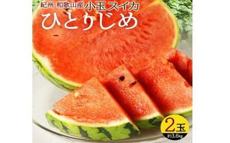 紀州和歌山産小玉スイカ「ひとりじめ」２玉【予約】※2026年6月上旬頃～7月上旬頃に順次発送予定(お届け日指定不可) スイカ すいか 果物【uot779】
