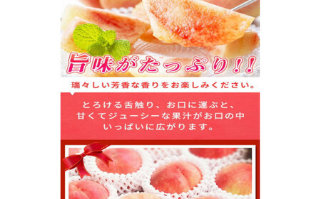 紀州和歌山産の桃　１５玉　化粧箱入	※2026年6月下旬頃〜2026年8月上旬頃順次発送（お届け日指定不可）【uot780A】