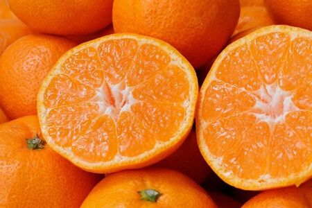 みかん 極 有田みかんプレミアム 10kg【光センサー 高糖度選別品】【nuk156D】 